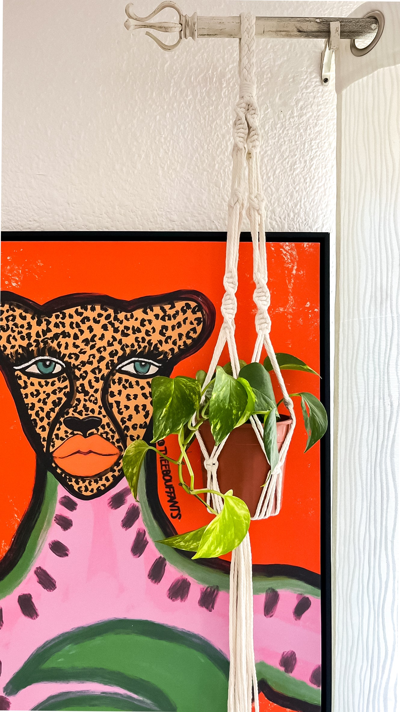 Nunca había sido tan divertido tener una maceta en casa. Aquí encontrarás macetas y accesorios para darle vida a tus plantas favoritas.  Macetas hechas en Guatemala. Macetas guatemala