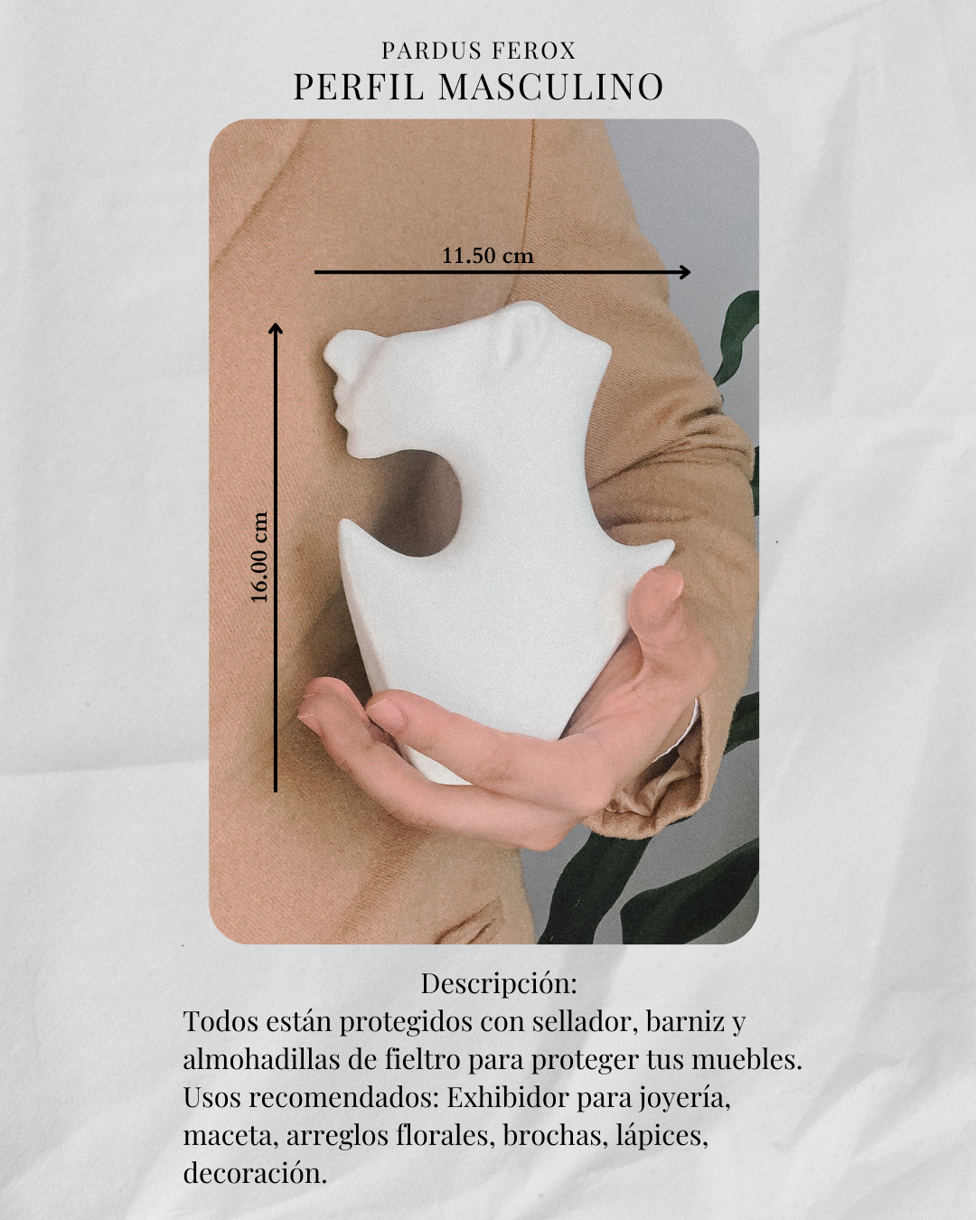 Perfil Masculino