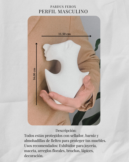 Perfil Masculino