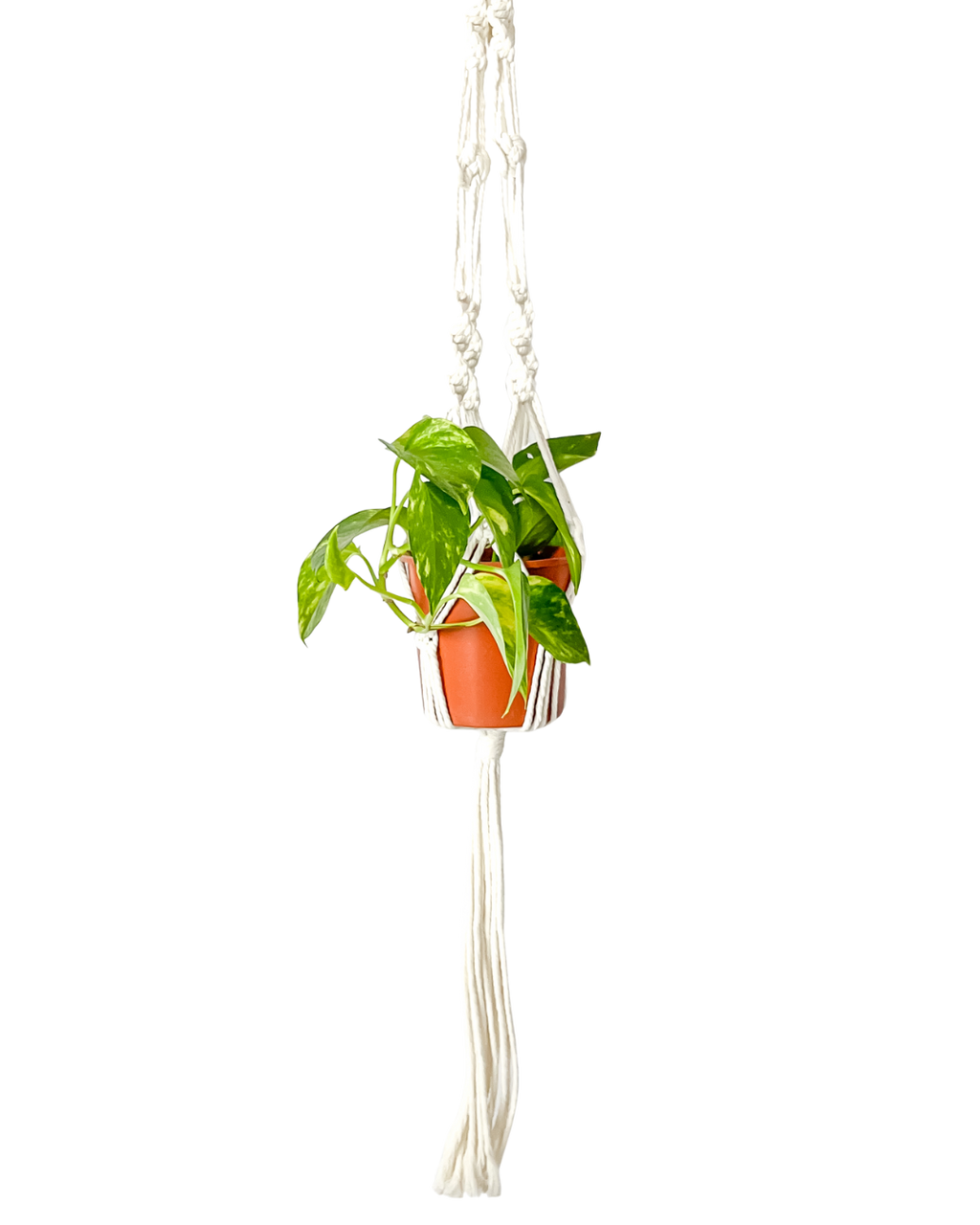 Colgador de Macramé