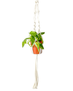 Colgador de Macramé