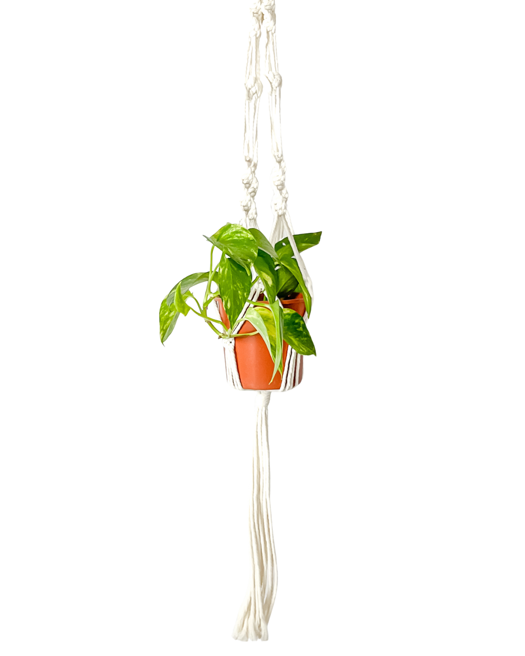 Colgador de Macramé